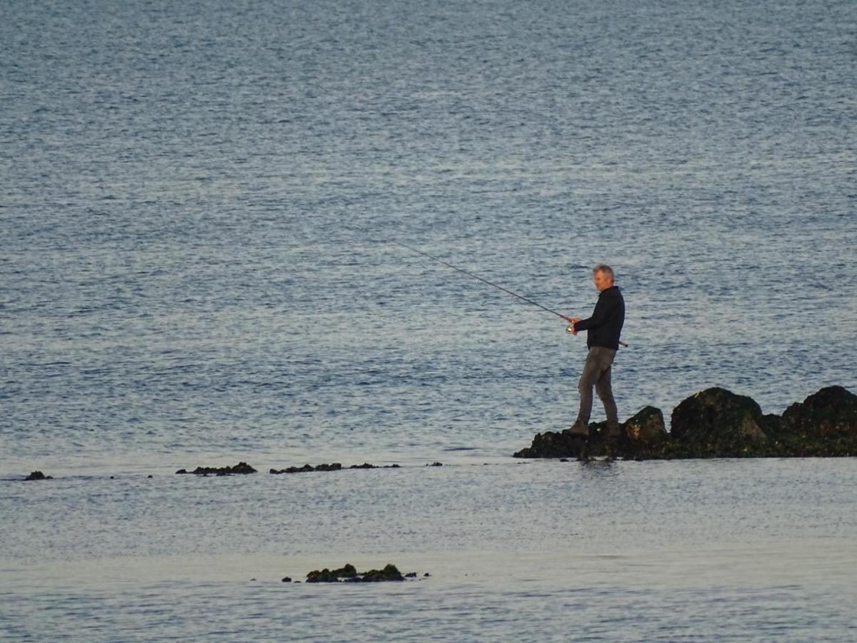 Banjaard Beachhouse Patrijzenlaan 16 Kamperland Bagian luar foto